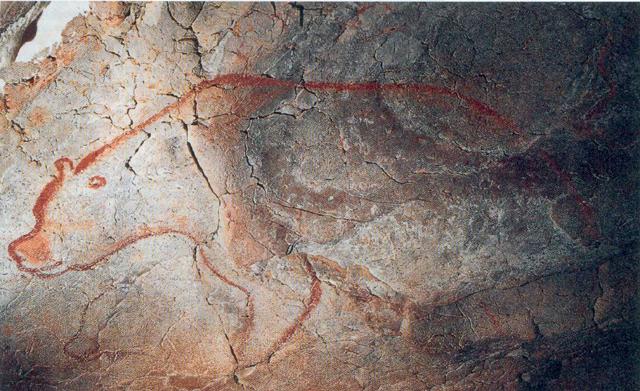 Bear from the Chauvet cave, France
