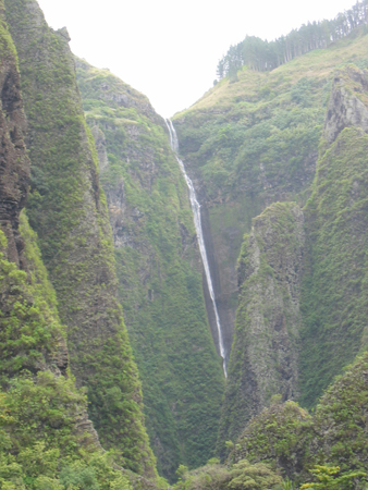 Hakaui