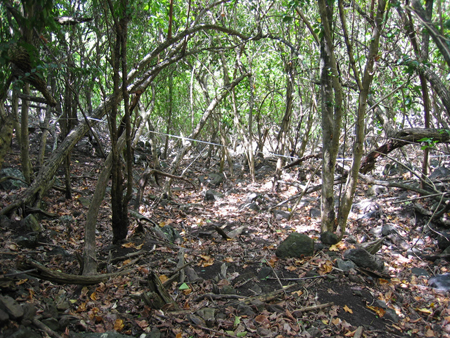 Hanaipa Bay Site