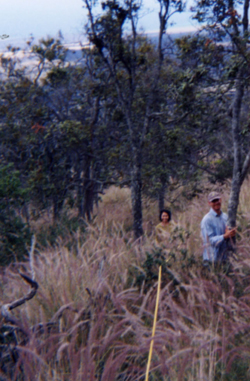 Kaupulehu Field Work