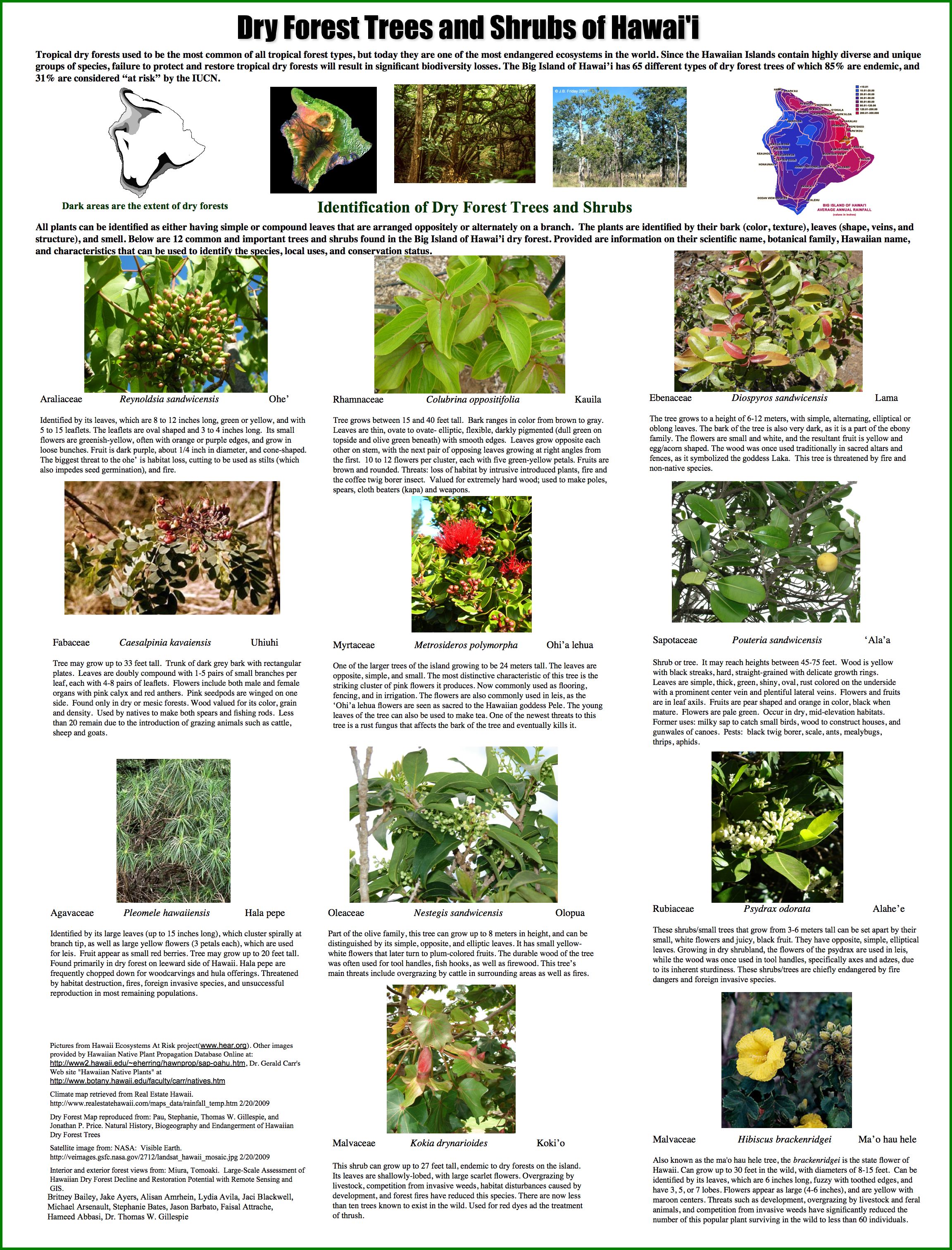 Tropical Dry Forests of the Pacific Hawaii Species Poster